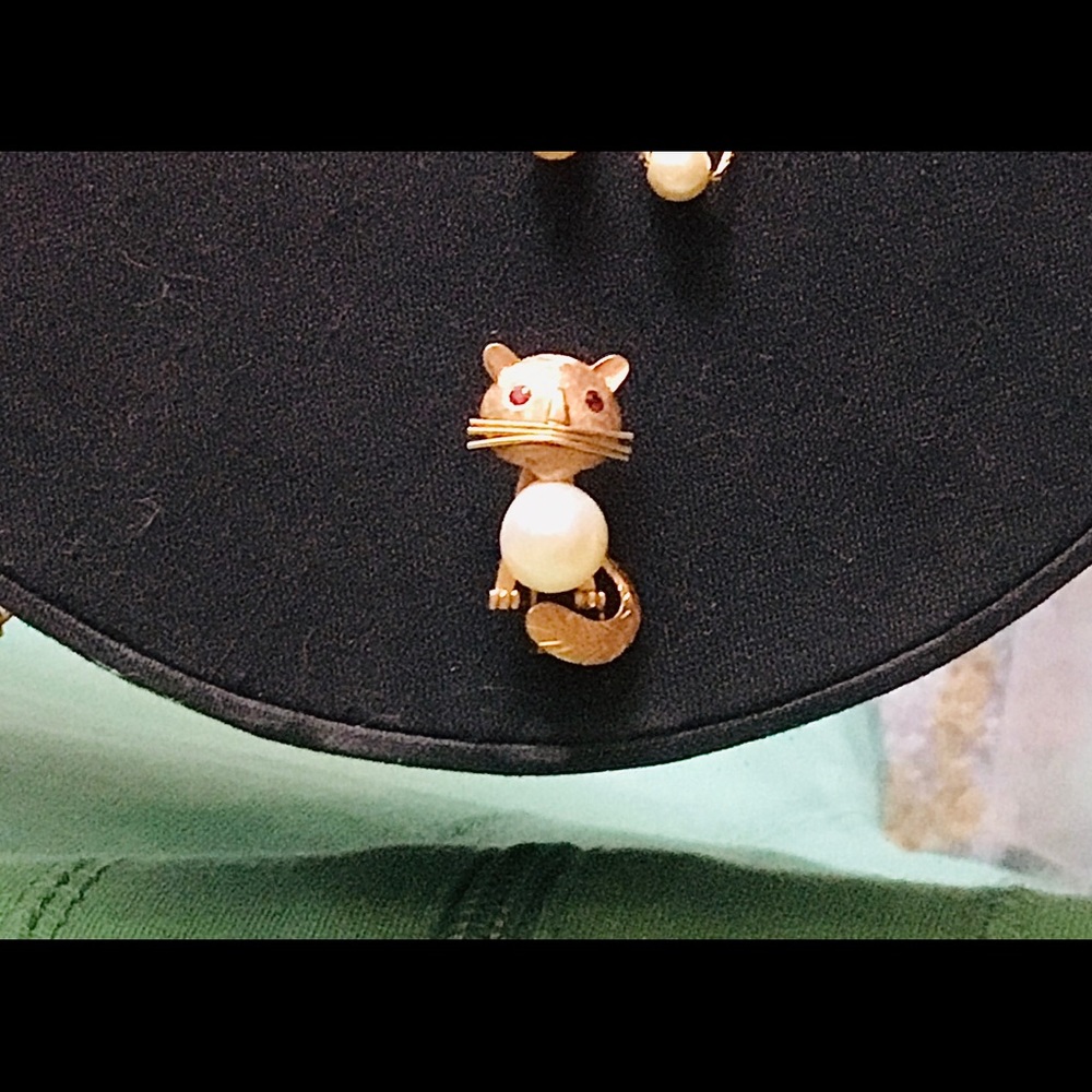 Fab Old 14K Cat Pin/Brooch RubyEyes Purl & Whiskrs